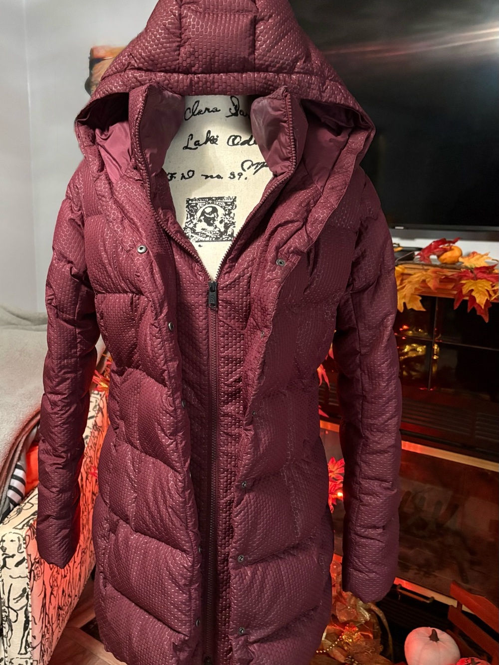 The North Face Long Quilted Hooded Puffer Coat in Wine
